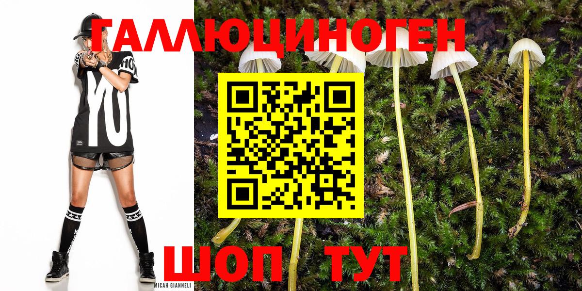 Галлюциногенные грибы Cubensis  Вход с VPN  закладка  Сертолово 