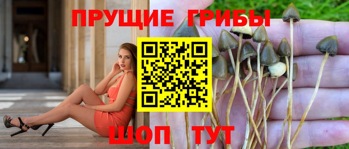 Псилоцибиновые грибы ЛСД Сертолово